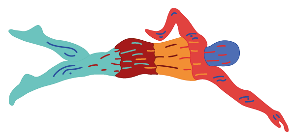 Mein Schwimmprojekt Logo